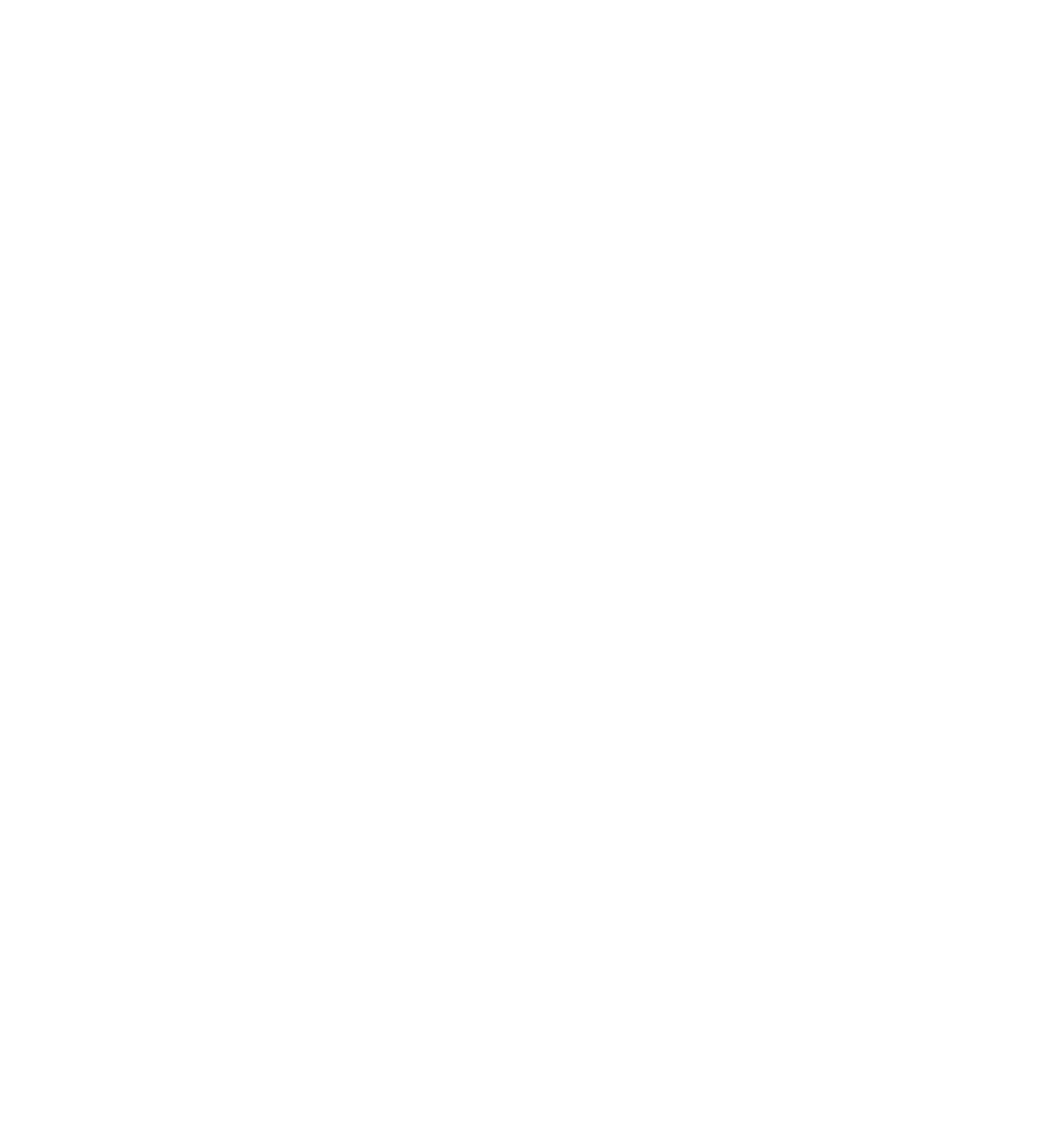 Salon Renaissance Logo